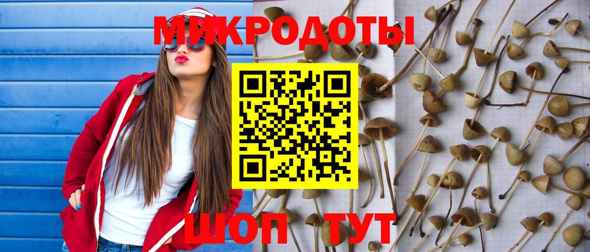 Псилоцибиновые грибы ЛСД Шахты