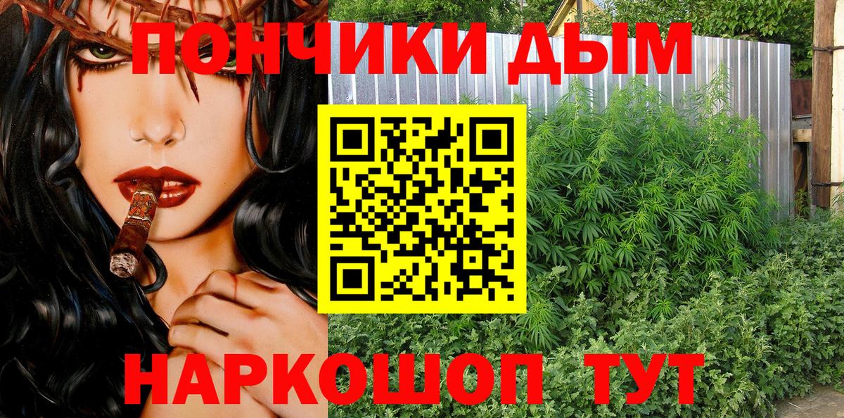 Каннабис семена Шахты